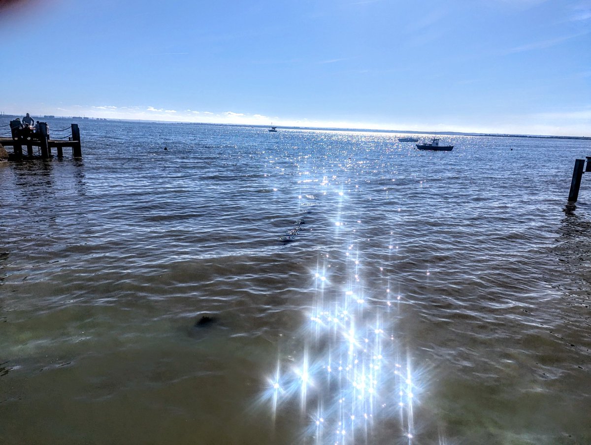 simon read tweet media