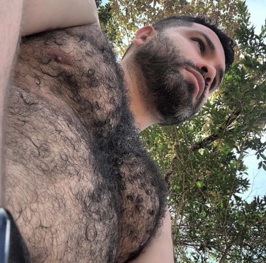 ToolcollectorX tweet media