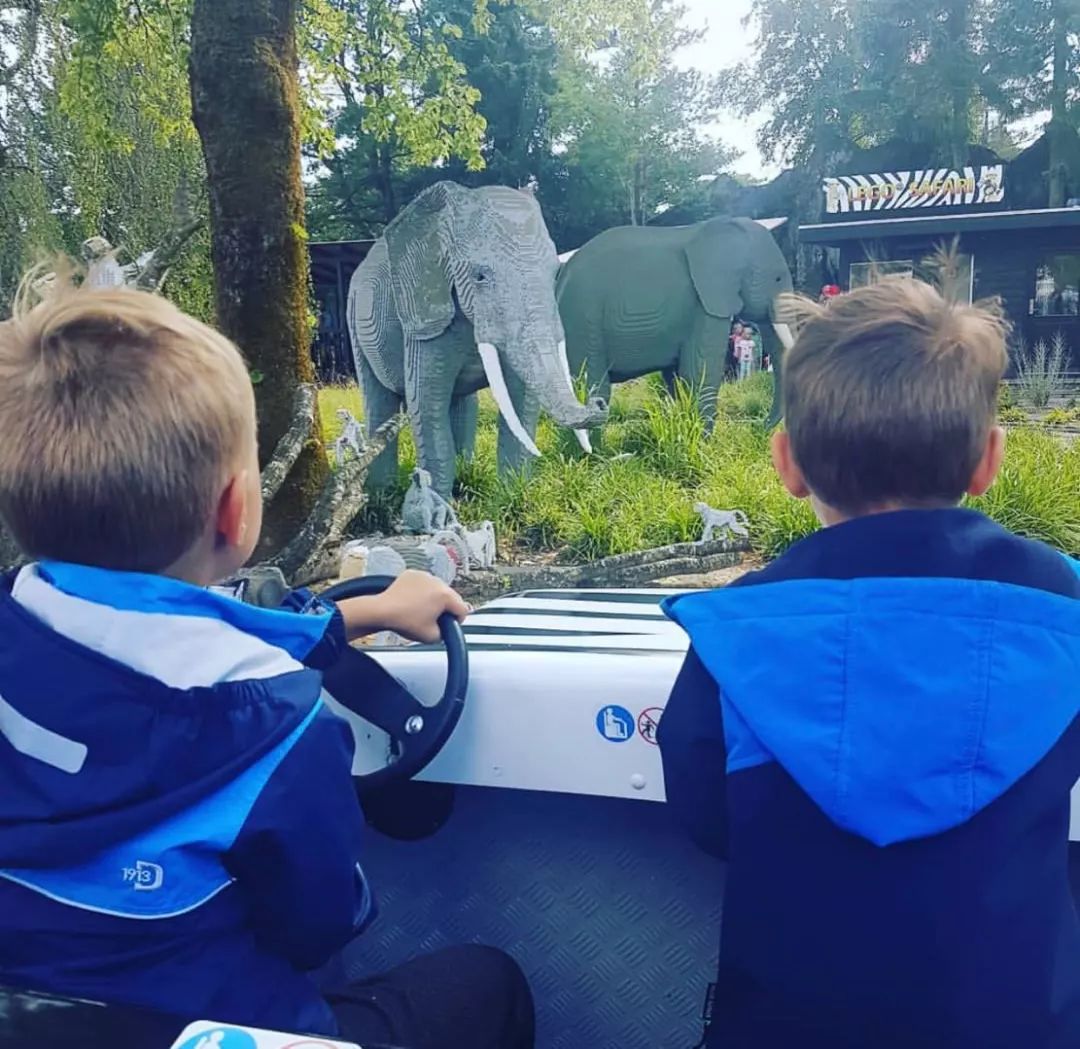 kunat pascualkunat.p tweet media