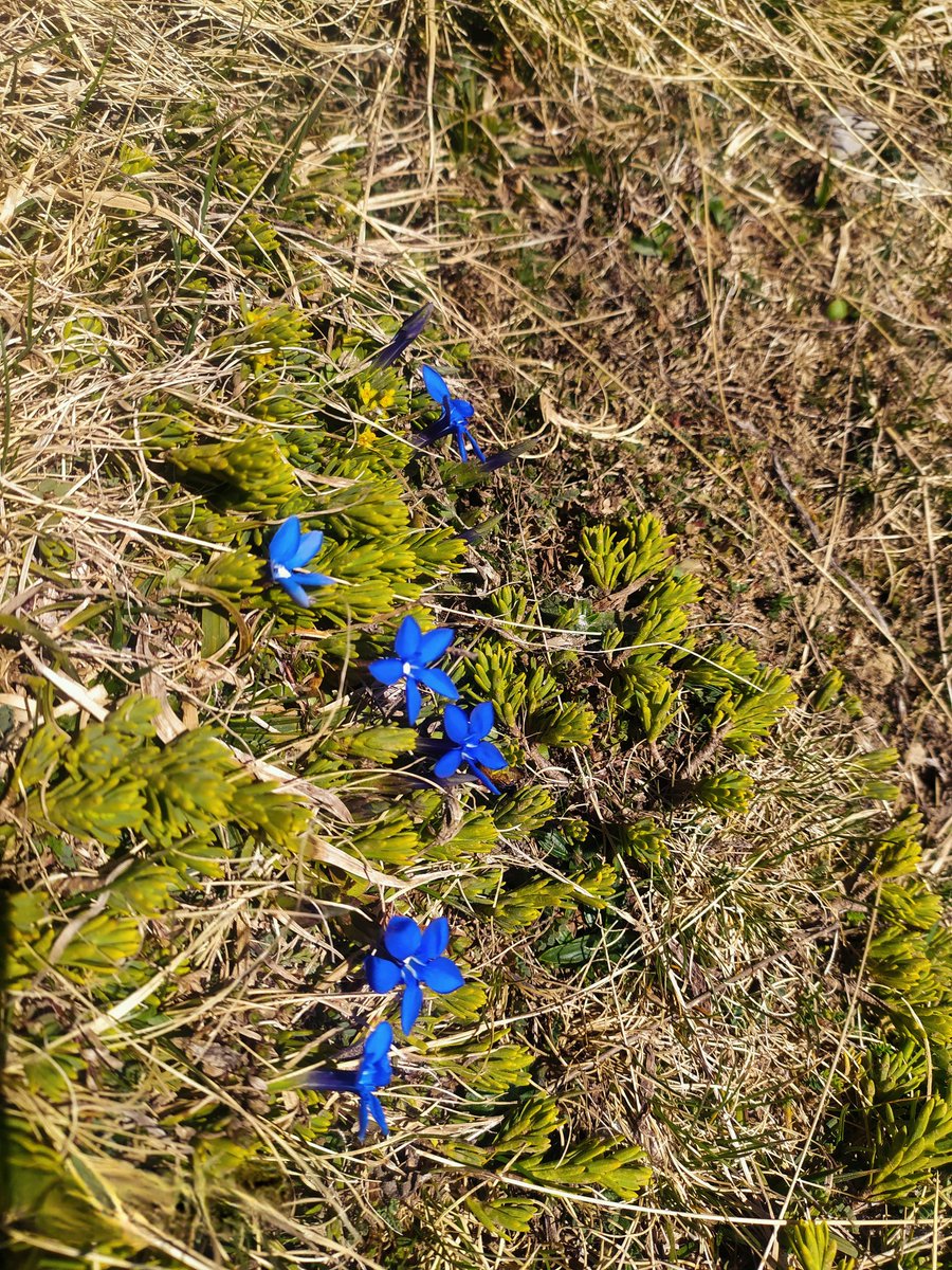 Axelle ᛉ tweet media