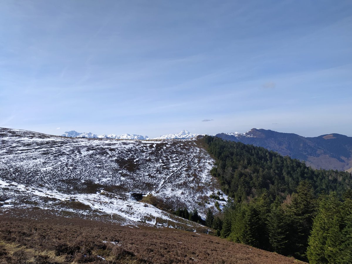 Axelle ᛉ tweet media