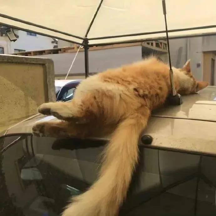 rukirabi tweet media