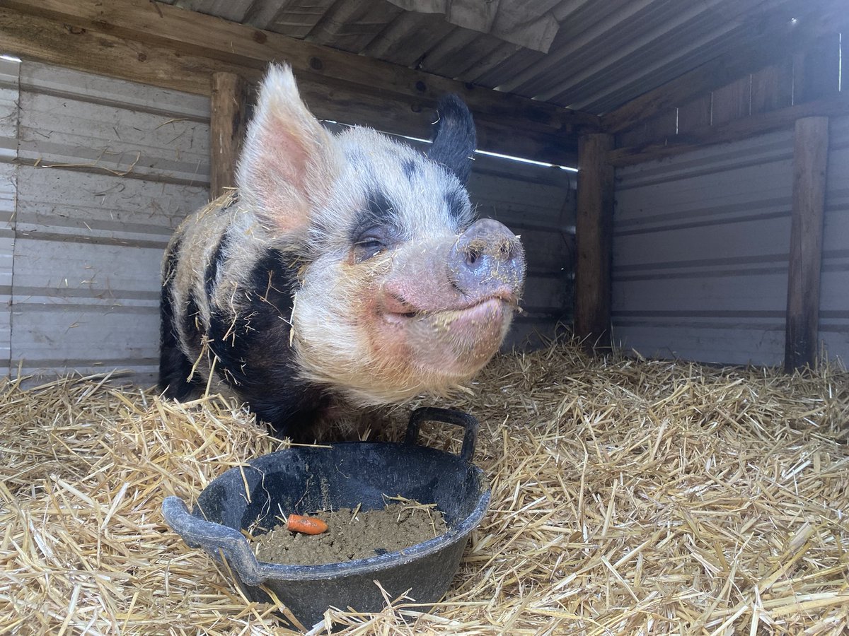 Kim Rathbone tweet media