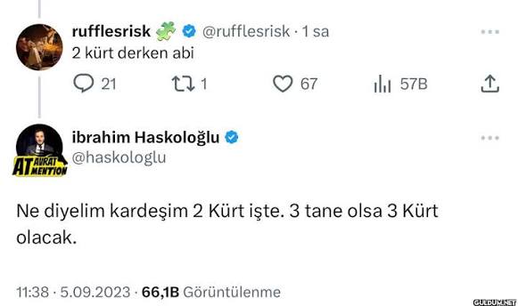 Ayse Hanım tweet media