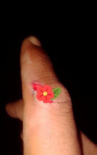 pretty Ari🌹🎀 tweet media