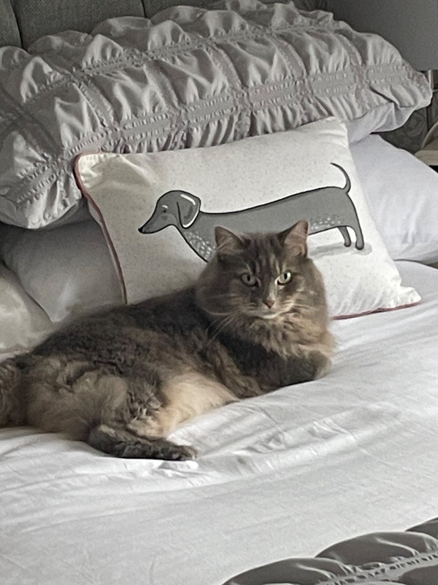 Joyce Sanders tweet media