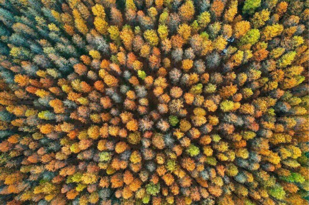 Hamza Güvcin tweet media