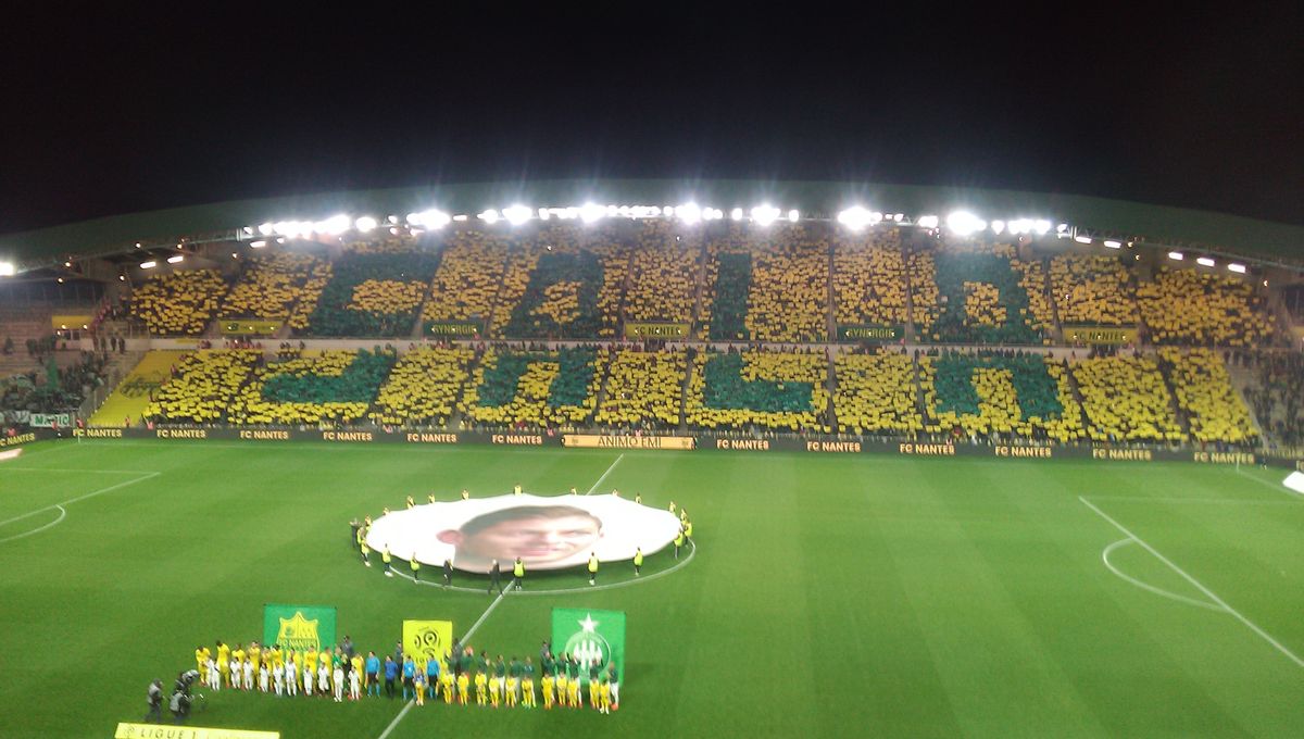 AlexJln 🐓 tweet media