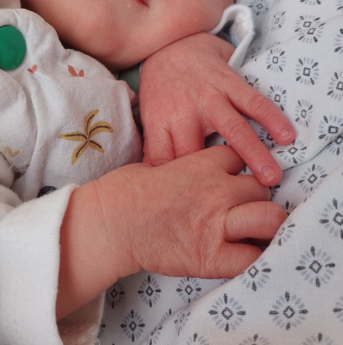 Patate Fan Account 🐶 tweet media