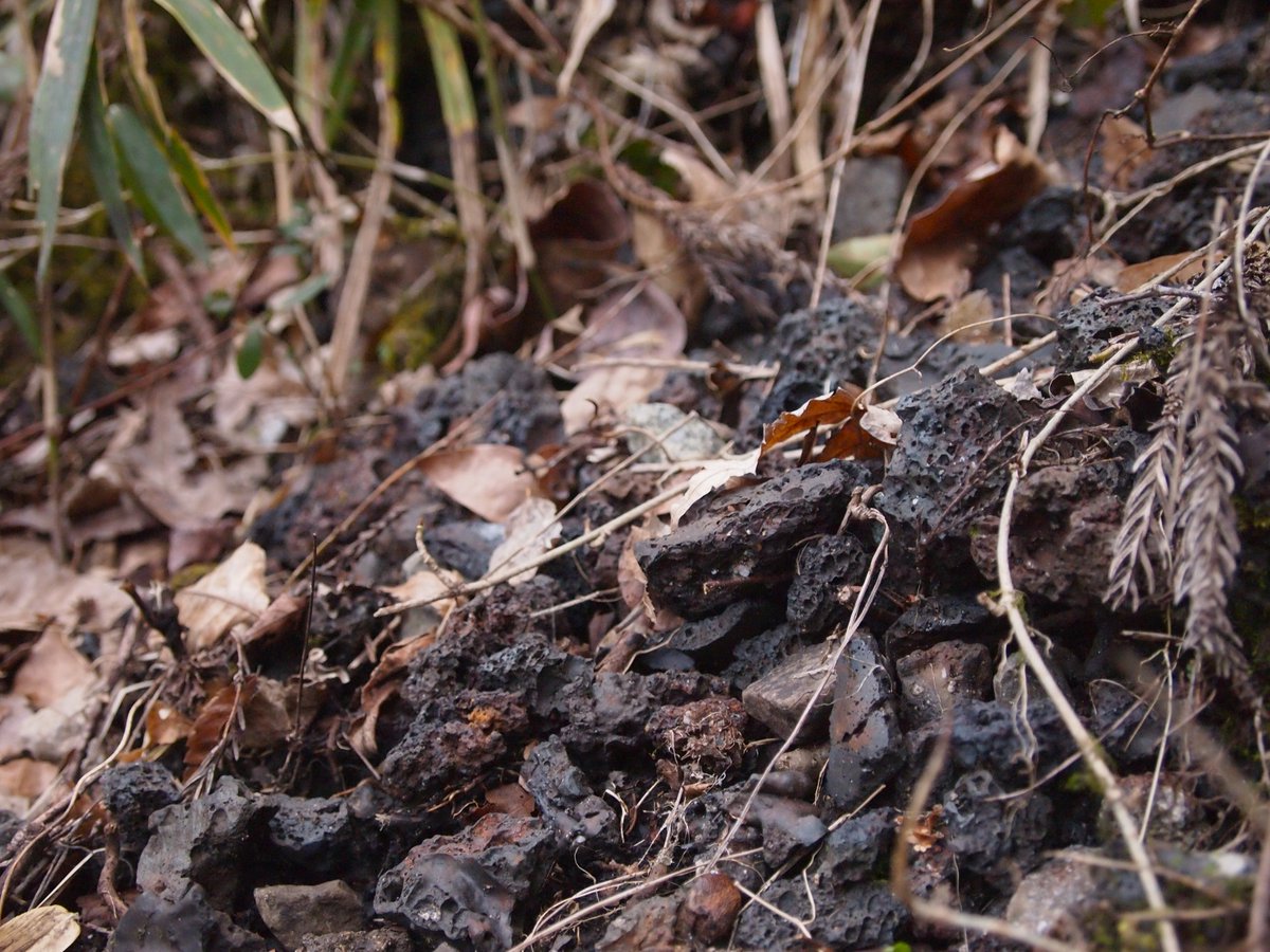 米子力研究所 tweet media