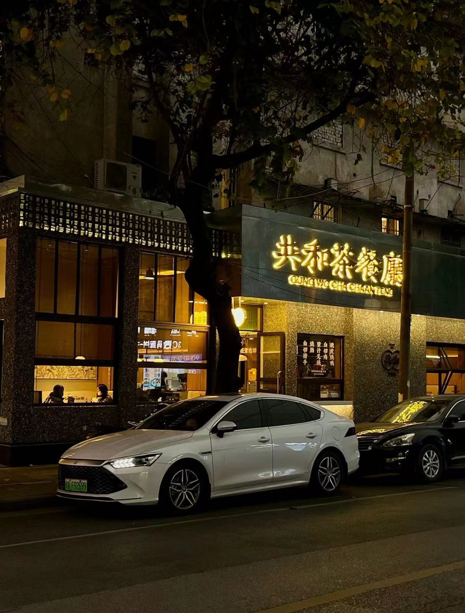 Gabriella Meireles tweet media