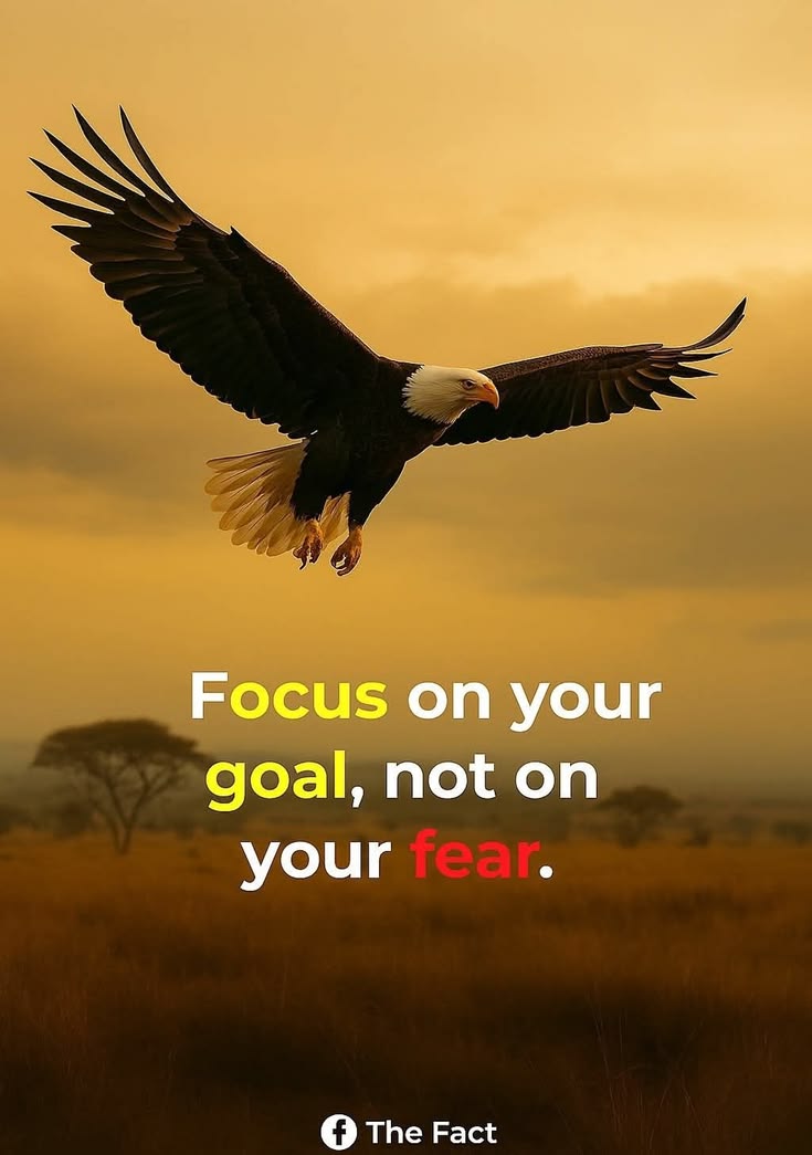 NOLOVEJUSTGOALS's tweet photo. https://t.co/2Y4SIWe2xb