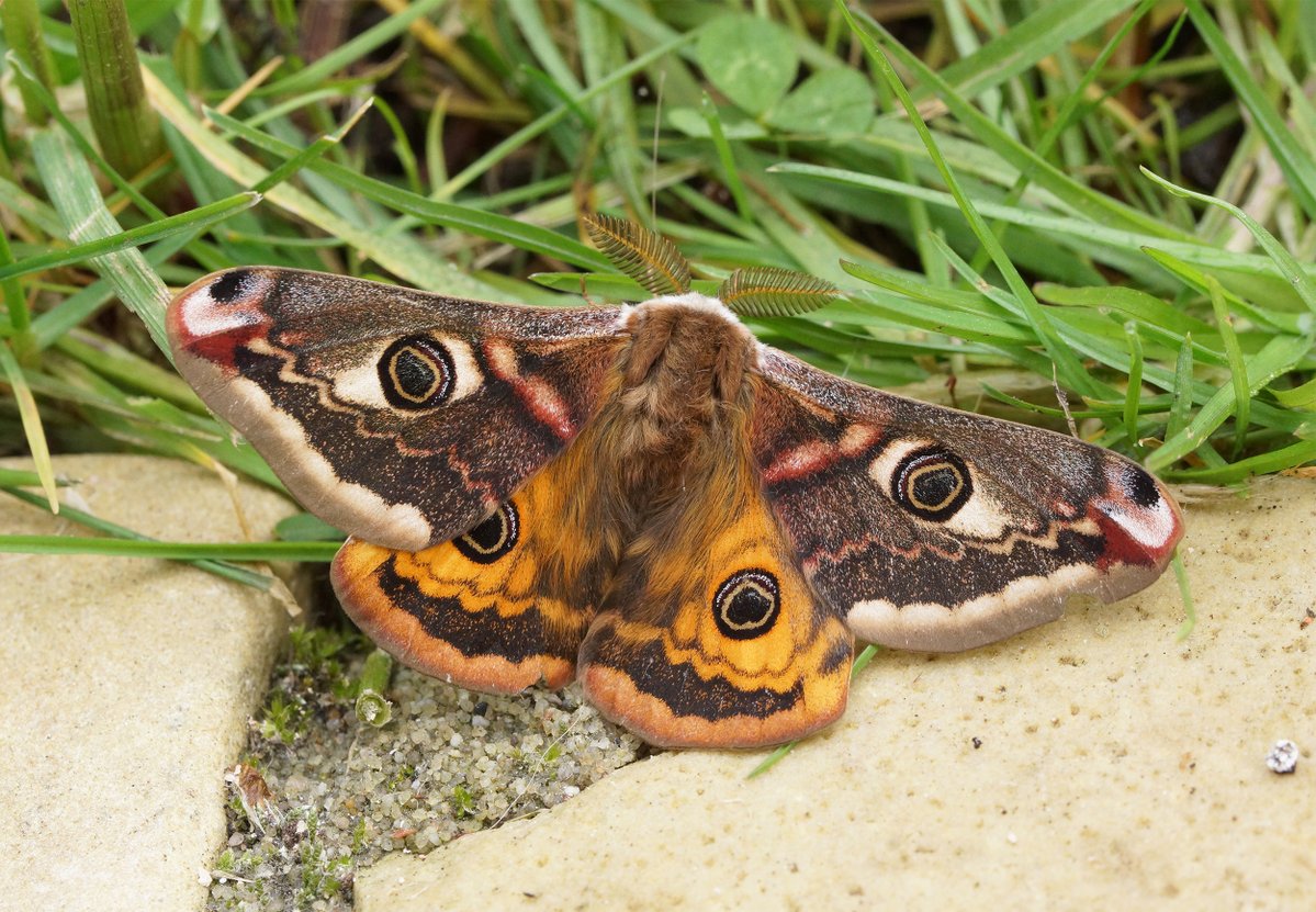 Ben Sale tweet media