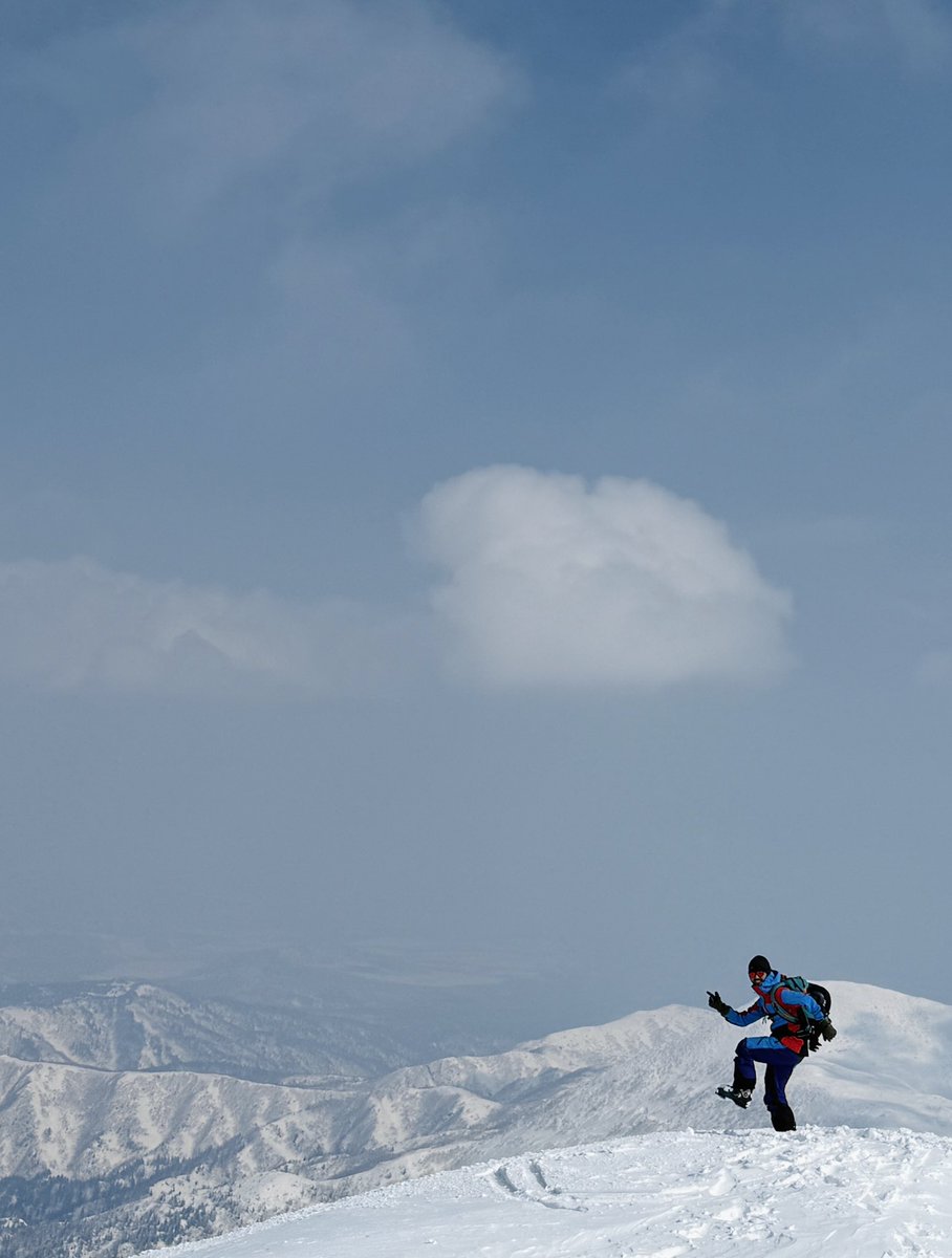 コケ太郎 tweet media