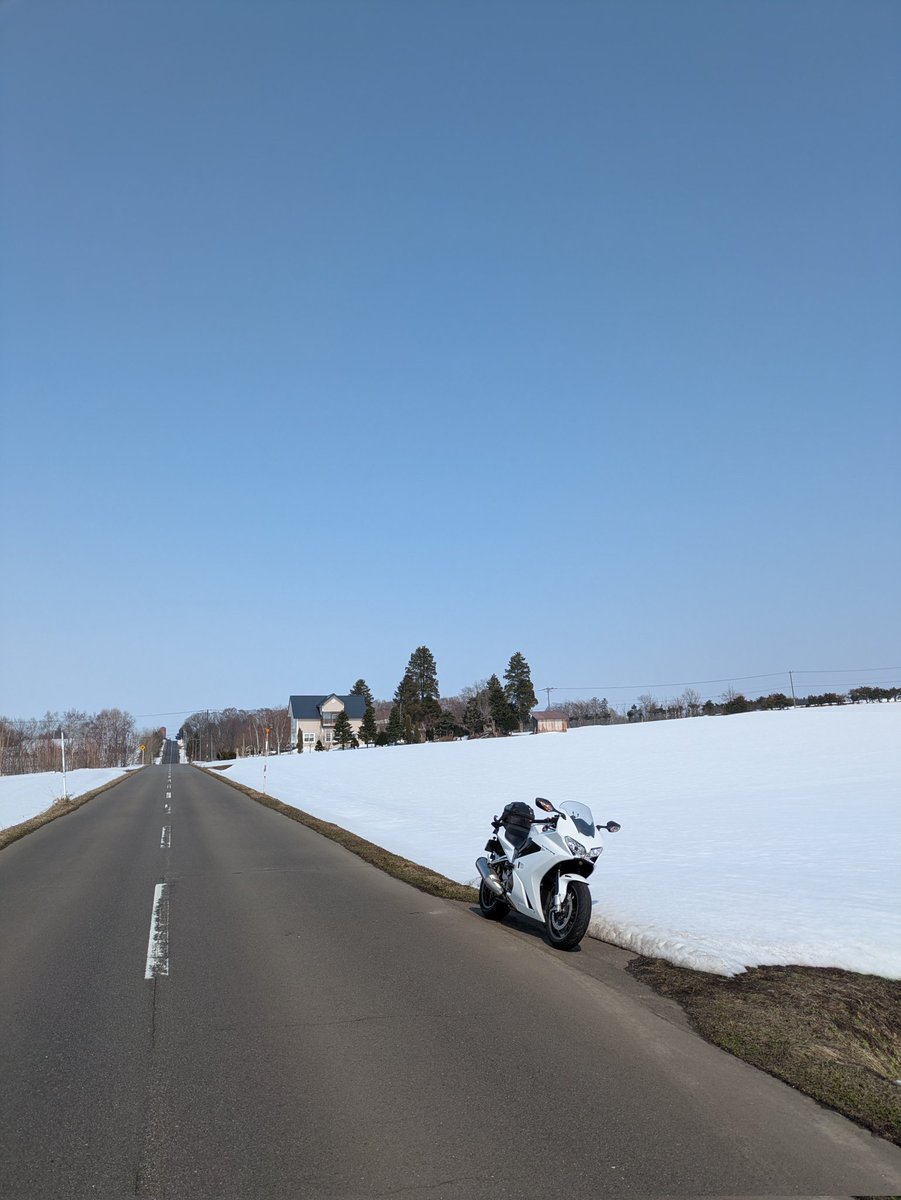 Bami800's tweet photo. 雪が似合いますね♪ https://t.co/LzvI9kFAtm