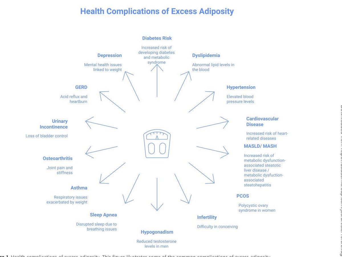 Ana Zugasti tweet media
