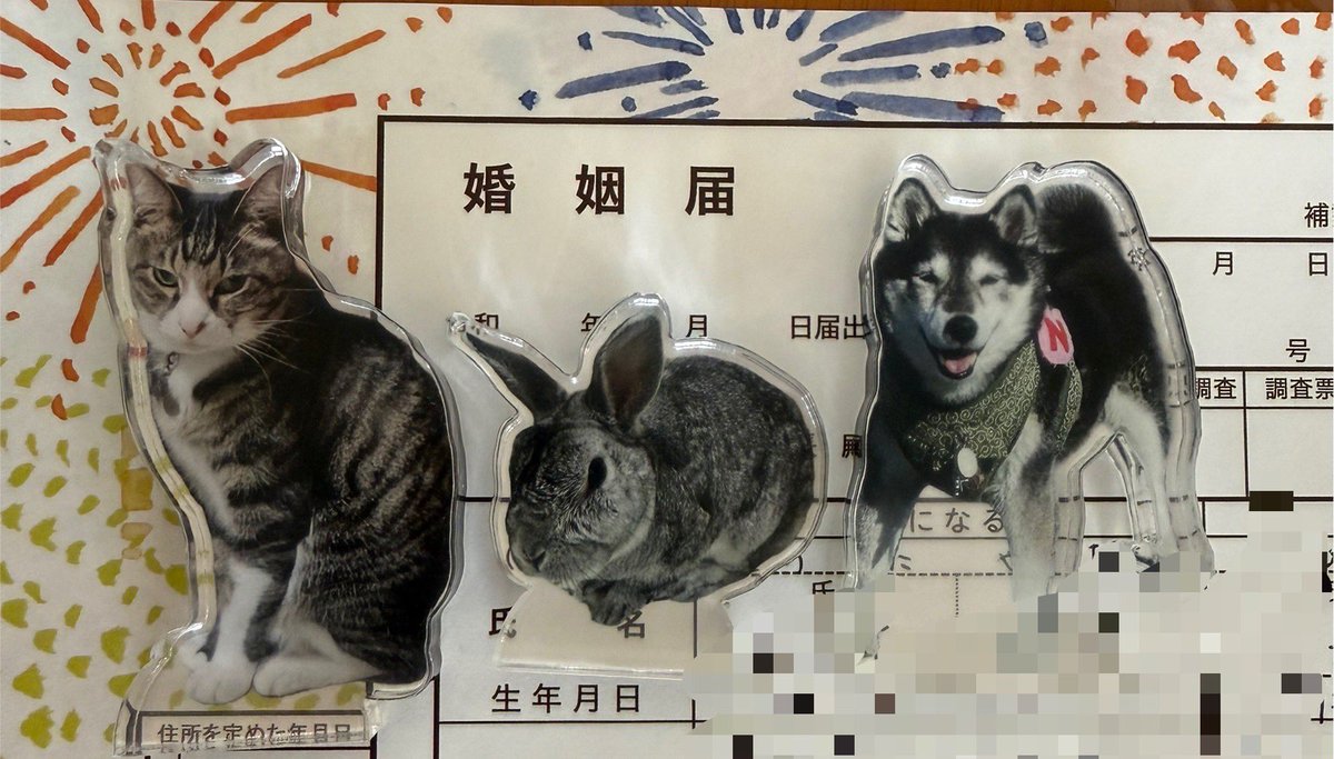 黒柴なな&猫てん&兎はち tweet media