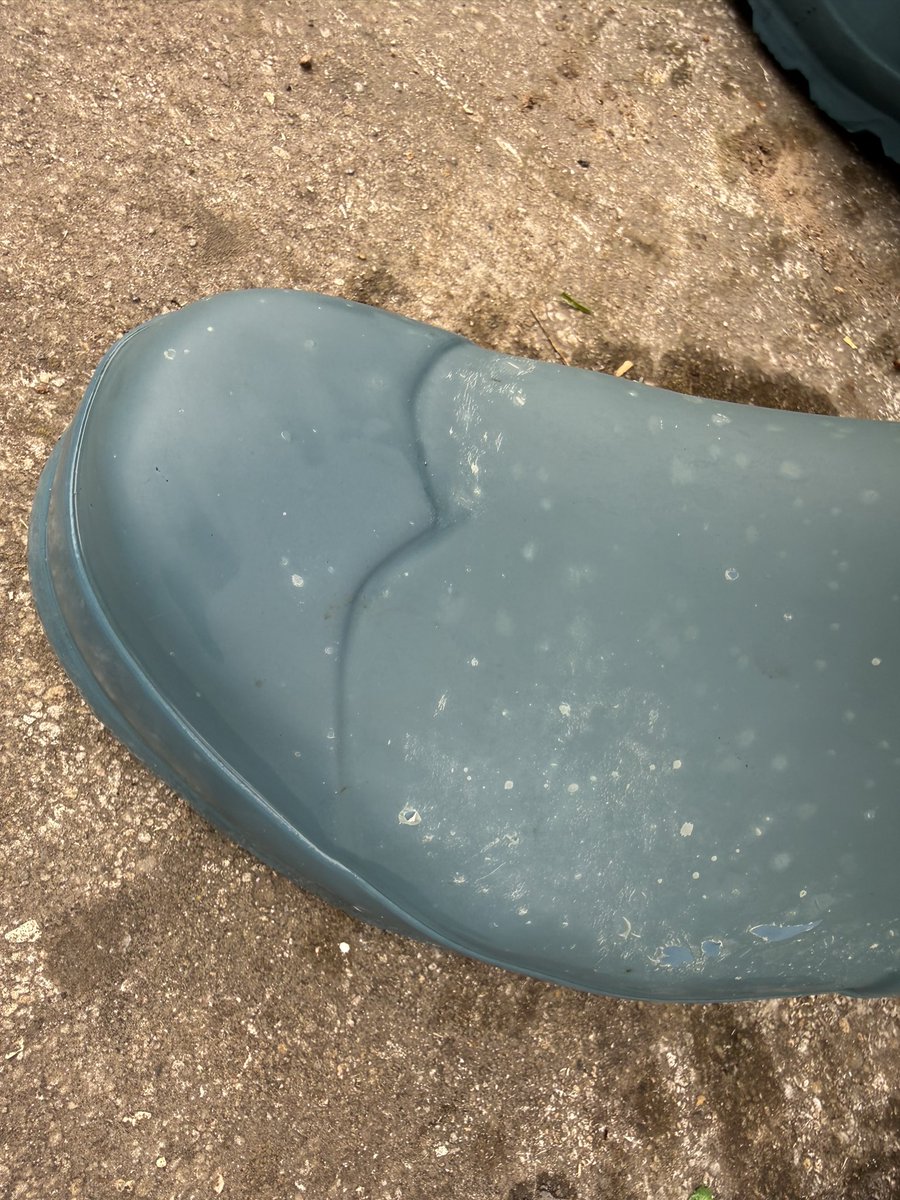 Quentin Delobelle tweet media