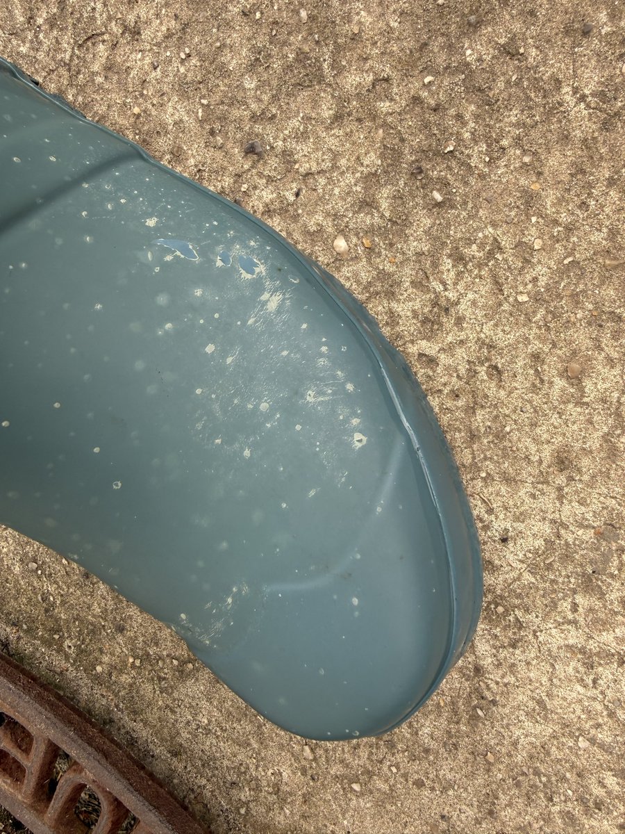 Quentin Delobelle tweet media