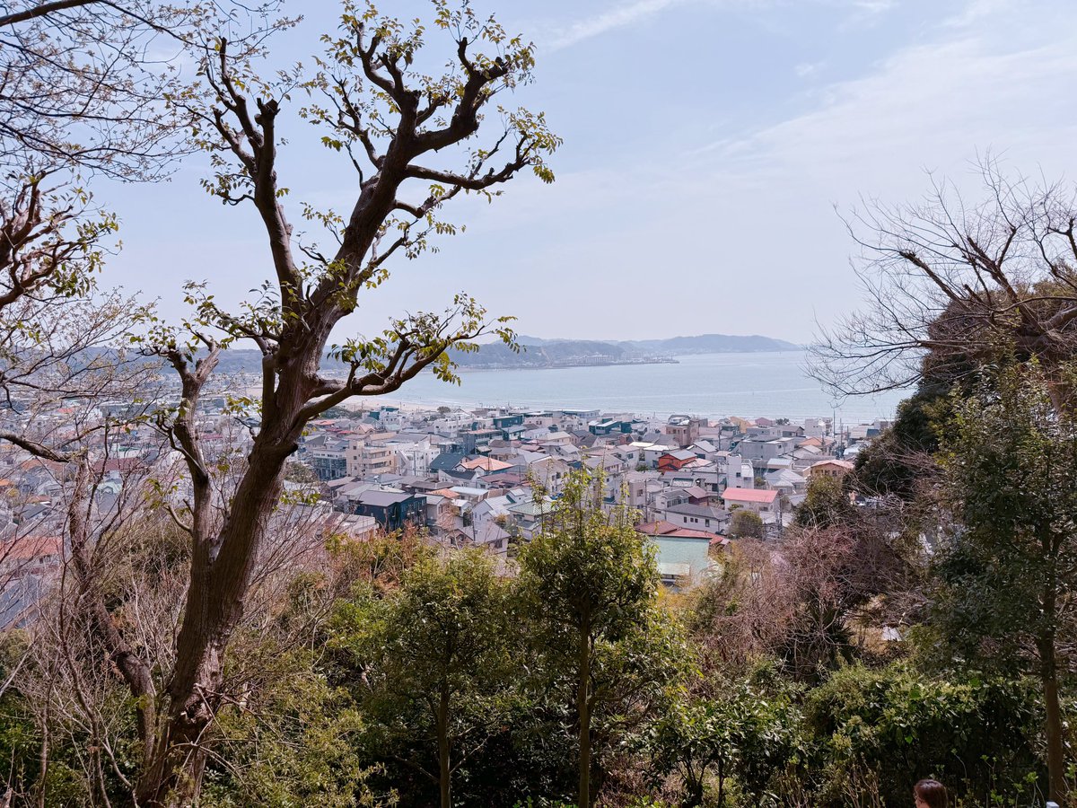 めろん🍈melon tweet media