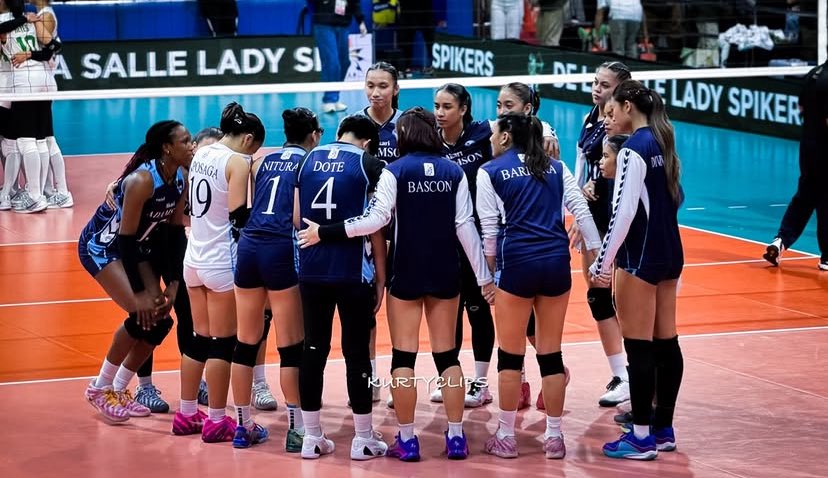 falcon smasher🐦✨ tweet media