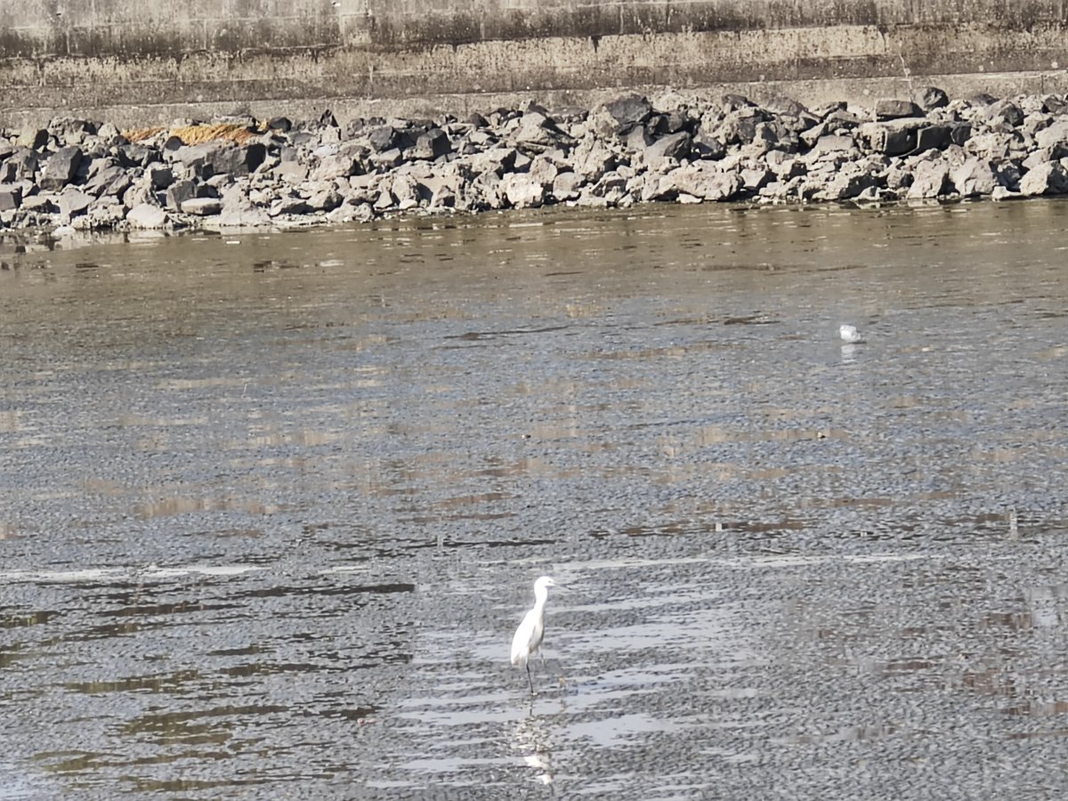 John Lockridge tweet media