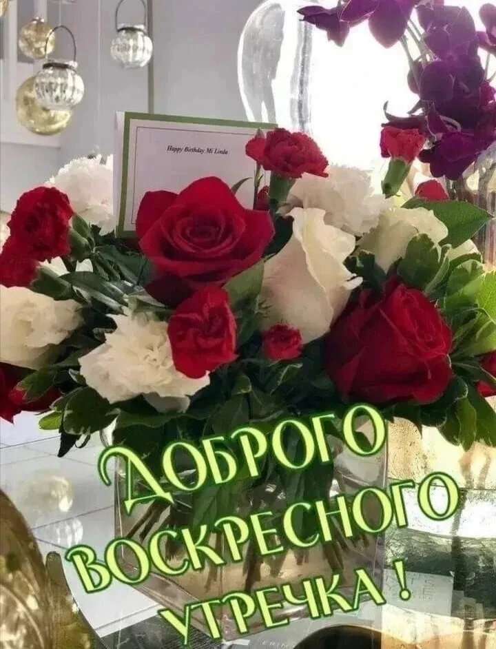 Анатолий tweet media