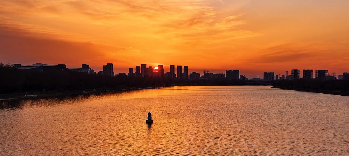 francisco tweet media