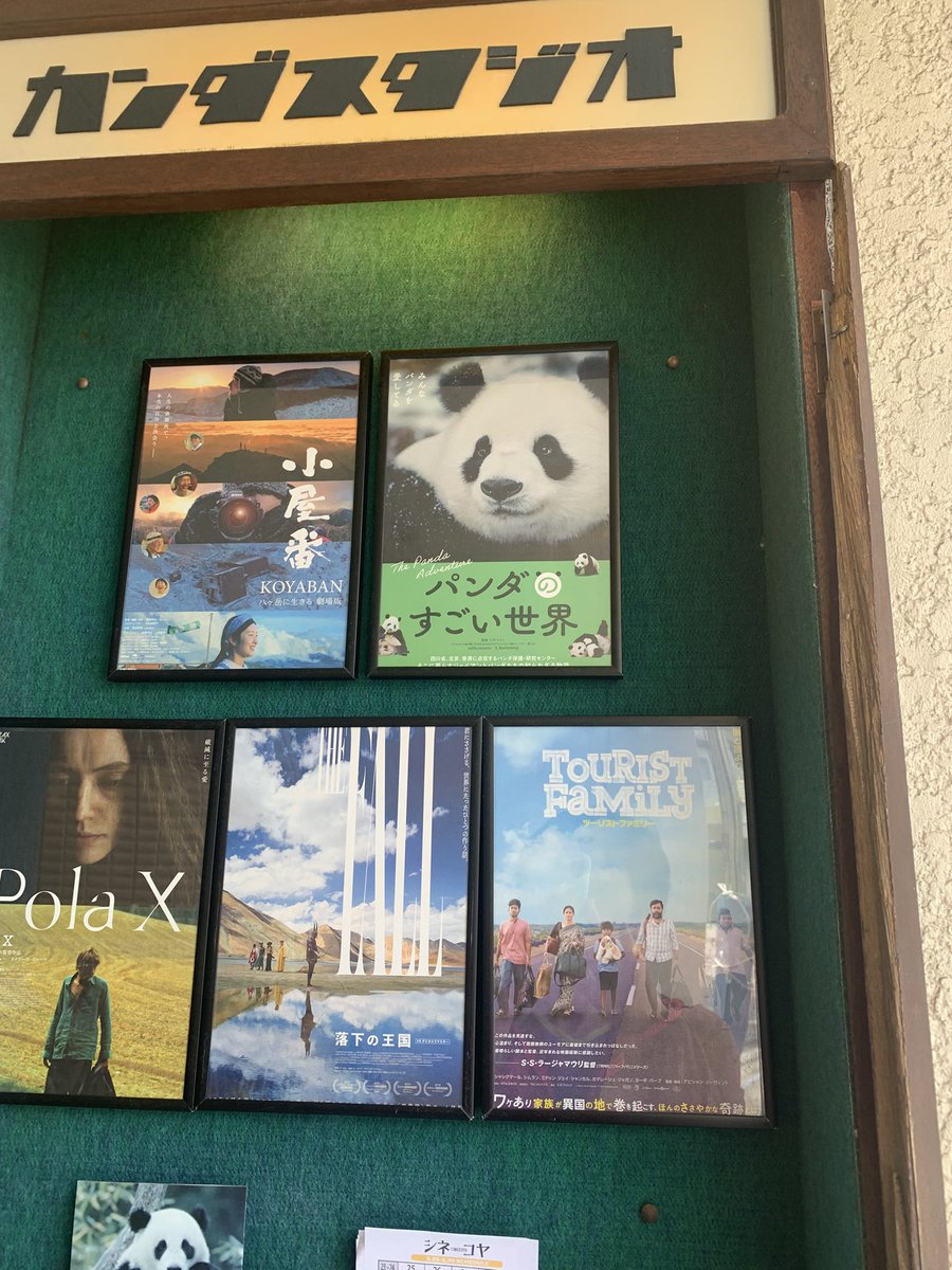 ハマミユキ tweet media