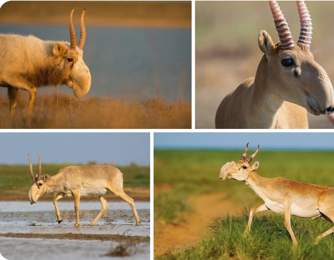 nicht mal Dave tweet media