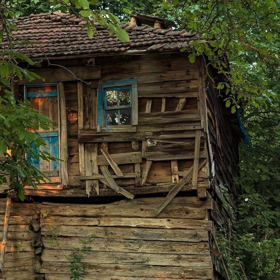 Seher Eski...🌹 tweet media