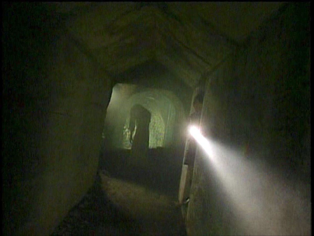 エマ✎ܚホラー映画垢 tweet media