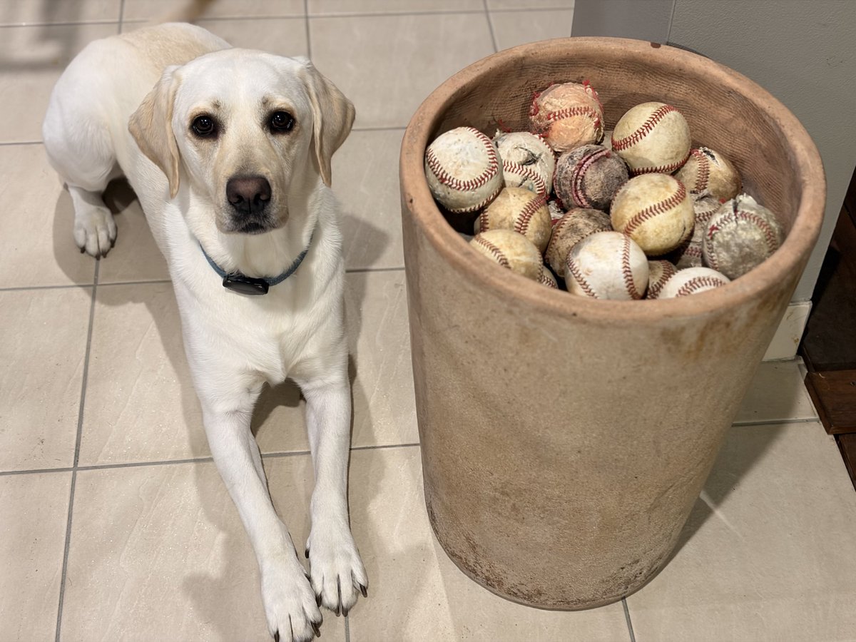 Phil Hazell tweet media