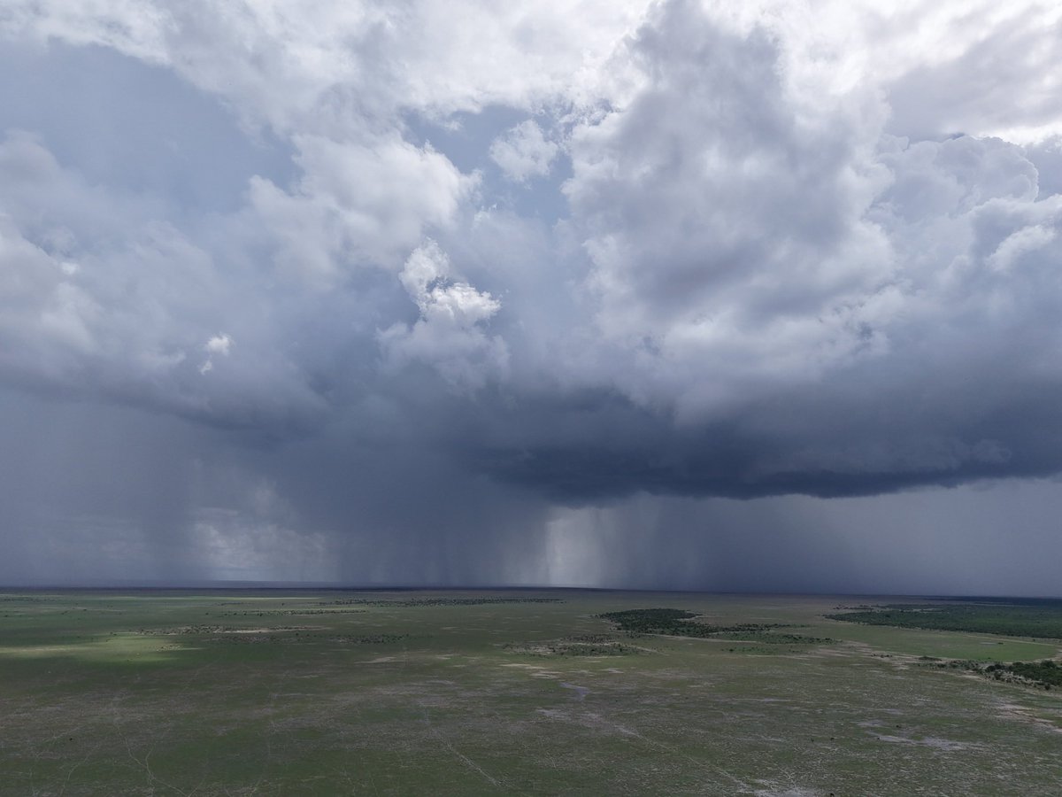 Wabepo Pansiri tweet media