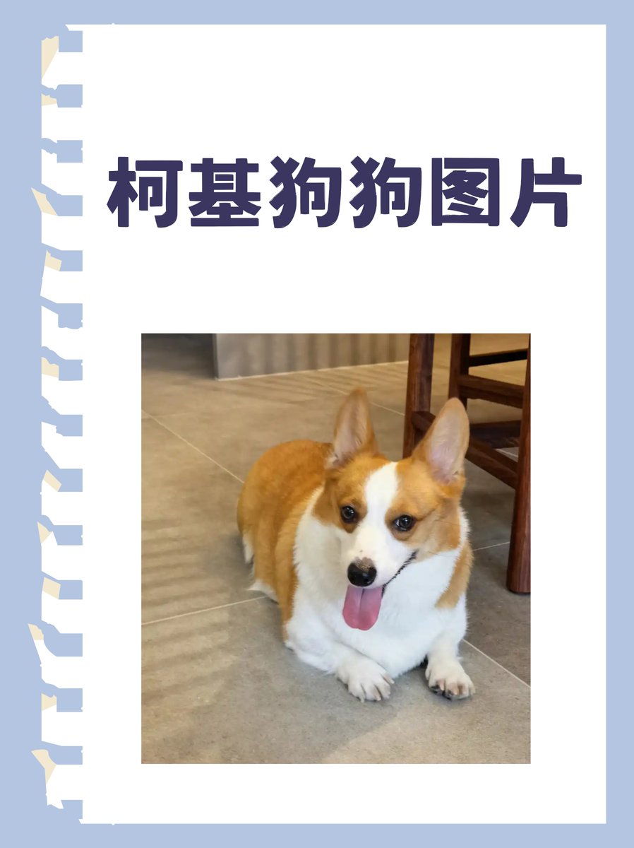 Keyla Escalona tweet media