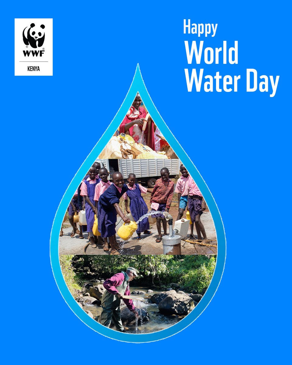 WWF-Kenya tweet media