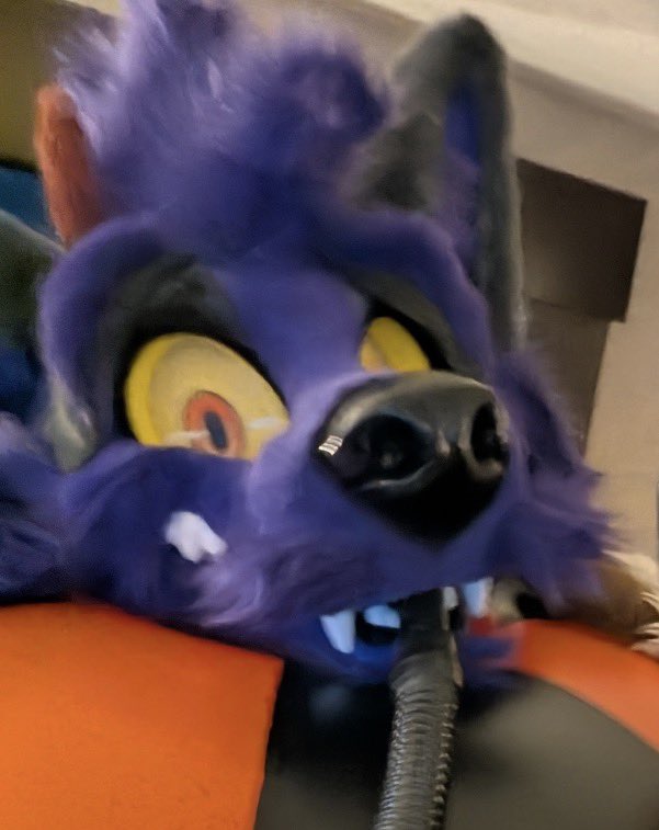 KarnageWuff ( FE OVER! ) 😭😭😭😭😭 tweet media