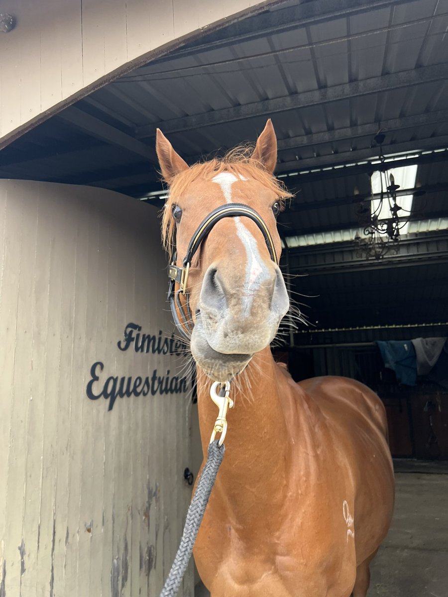 BGT/BB CN0mi tweet media