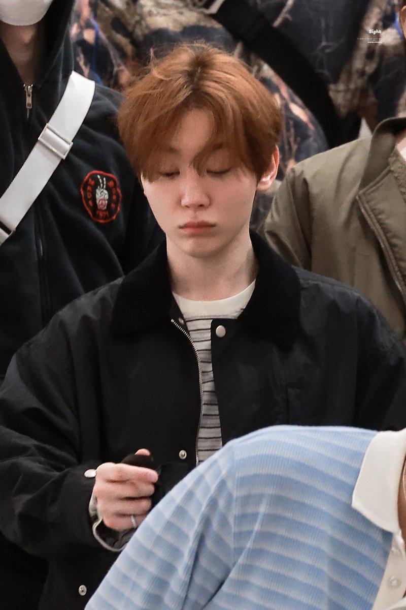 자다 일어난 강아지