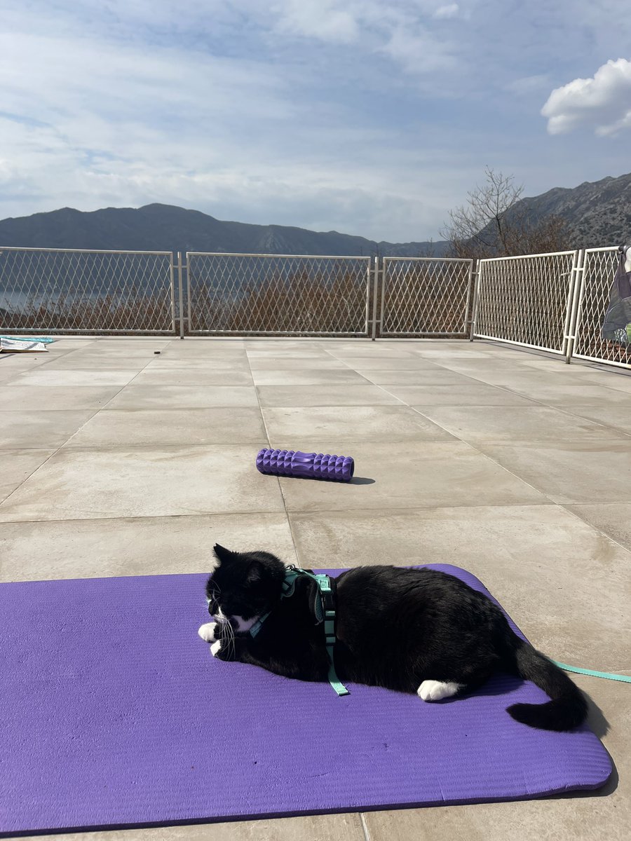 Irina Ideas tweet media