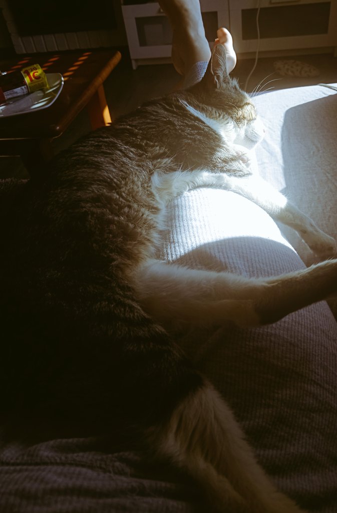 Lucía GP tweet media