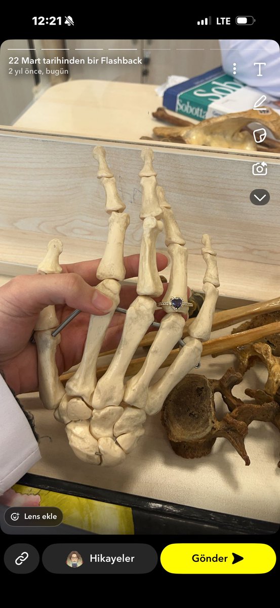 betüs 🇹🇷 tweet media