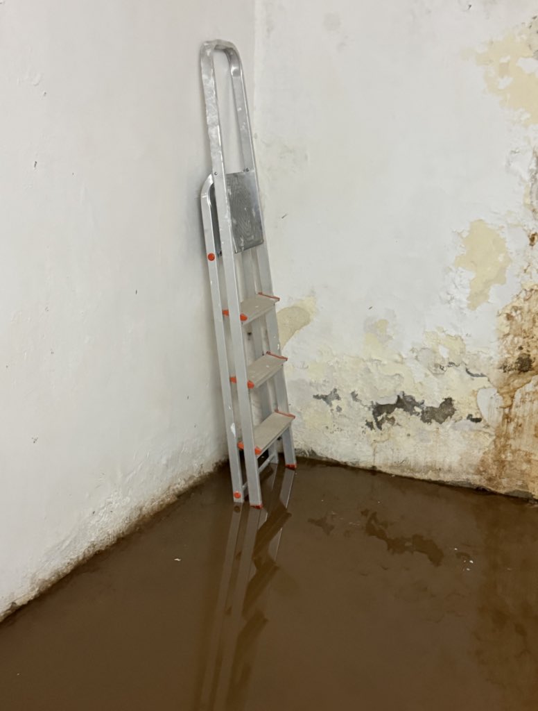 Amir Barkol tweet media