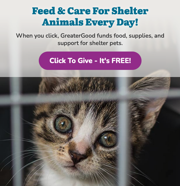 Carver Johns tweet media