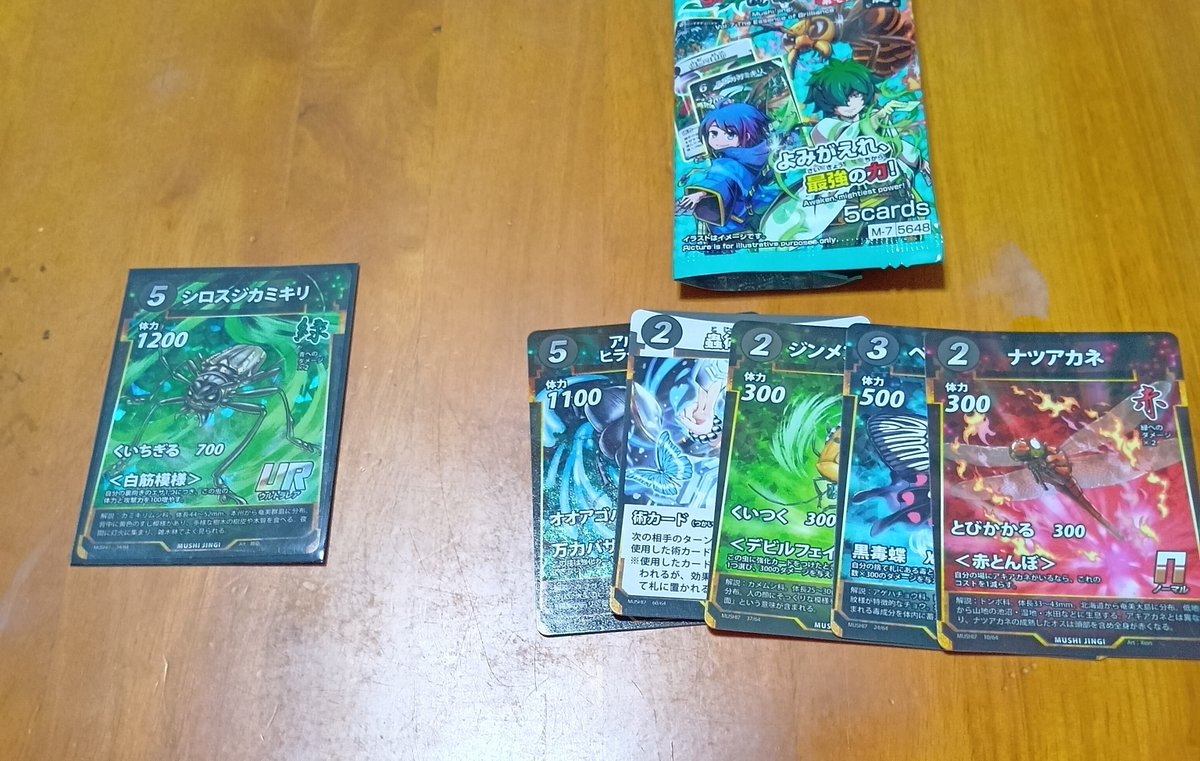 楽しいむーぽん一家（睦月@親娘蟲主） tweet media