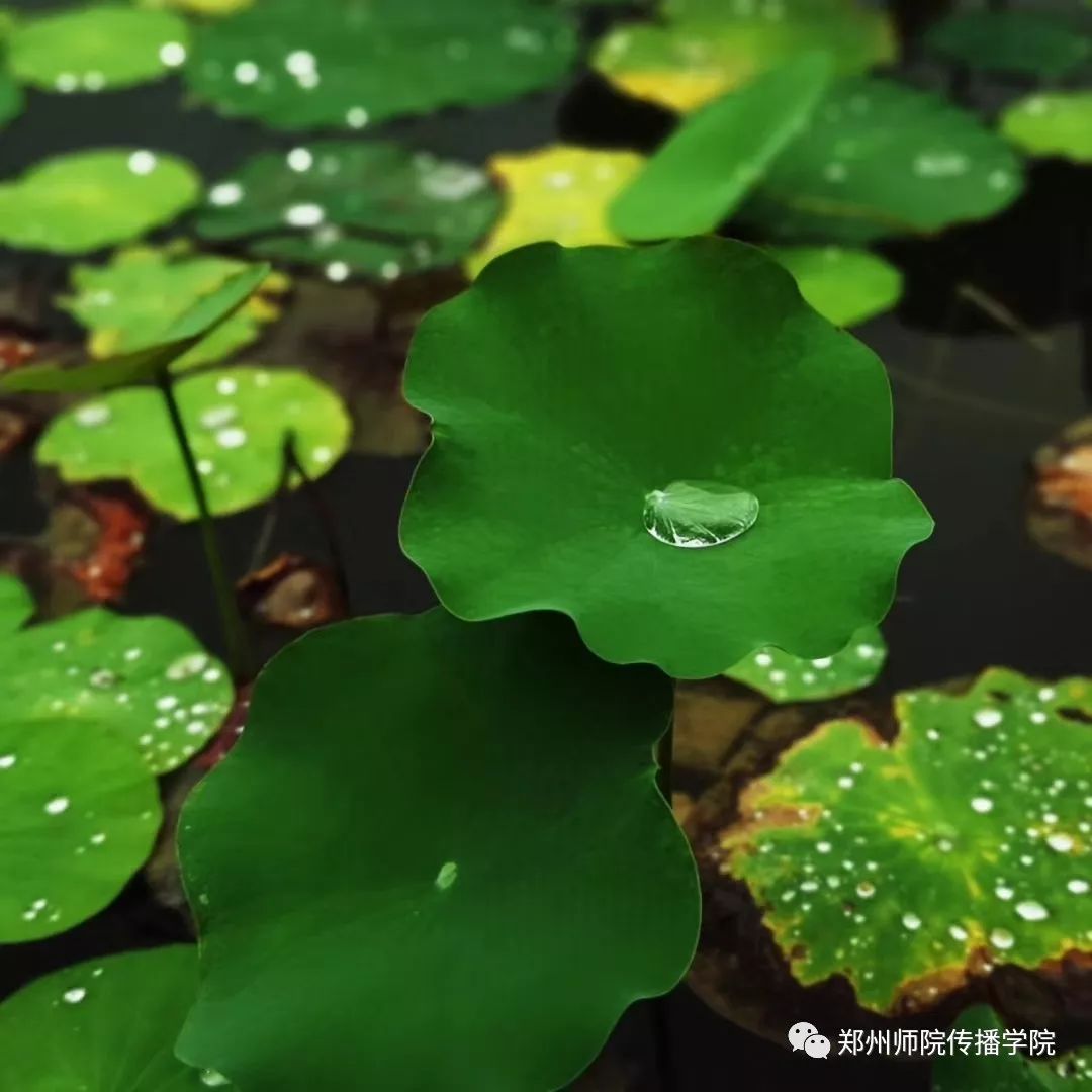 Bill Harpster tweet media