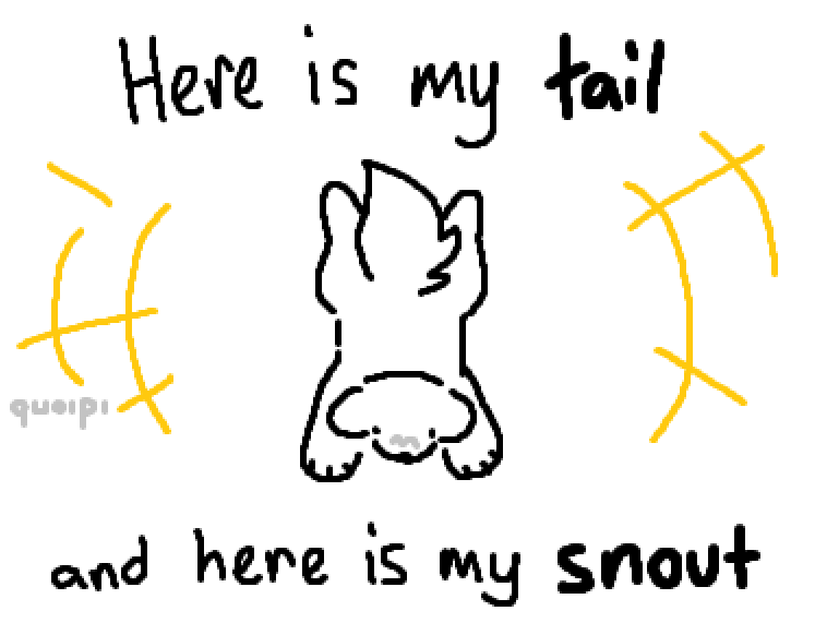 Moss Tillandsia, First Floret tweet media