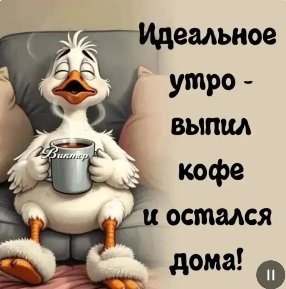 Анатолий tweet media