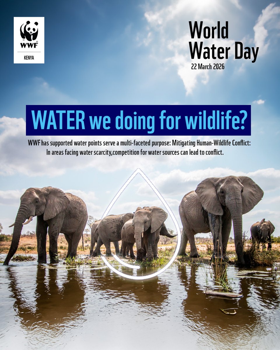 WWF-Kenya tweet media