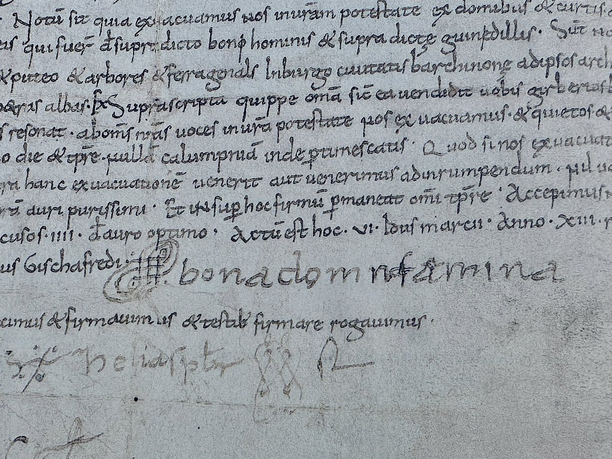 Tània Alaix i Gimbert tweet media